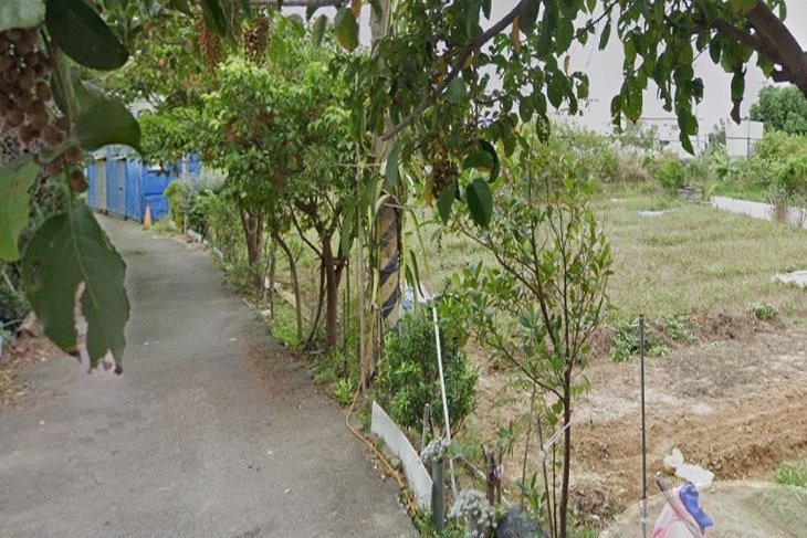 蘆竹一般農+交通用地