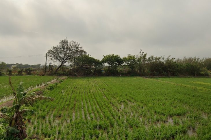 新屋台61大馬路旁農地