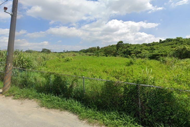 平鎮區東陵段農地