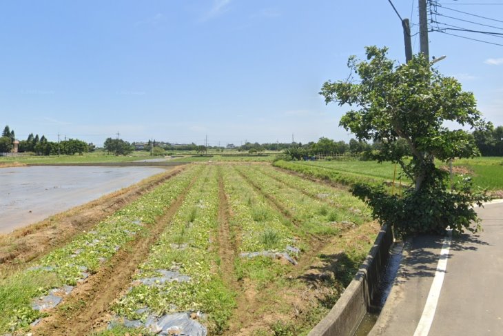 新屋區美農地