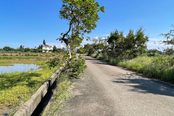 新屋66快速道路甲建+農地