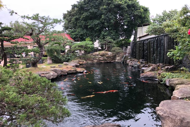 平鎮區66旁漂亮農舍