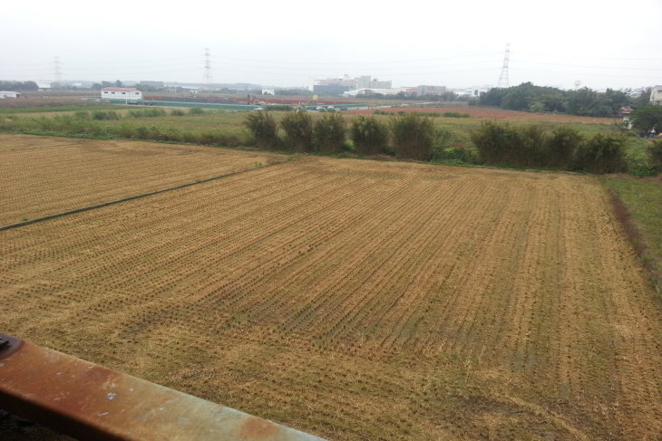 新屋中興社子農舍