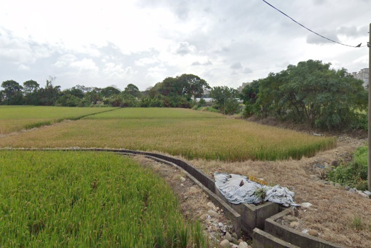 國際路旁大面積農地