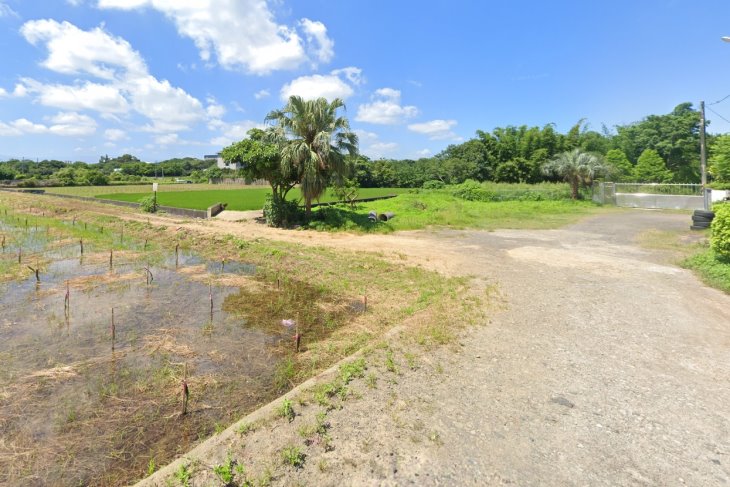 平鎮復旦路旁可分割農地