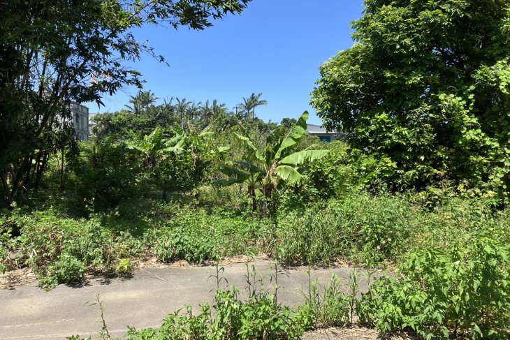 蘆竹區漂亮農地