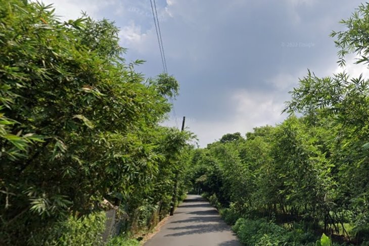 大溪三層段風景農地