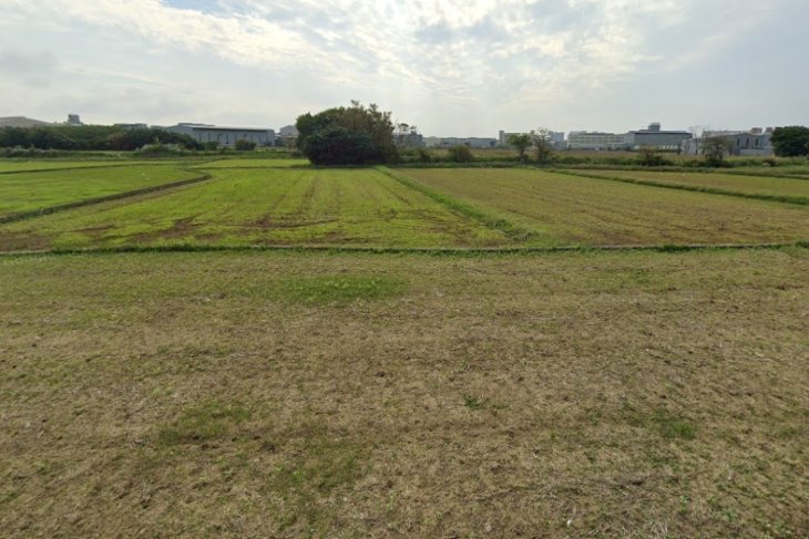 蘆竹坑口工業區農地