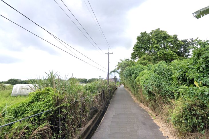 八德新霄裡農地