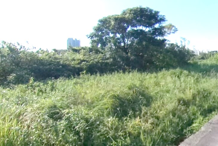 青埔高鐵旁農地