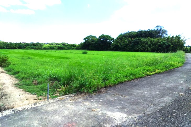 近崙坪工業區農地