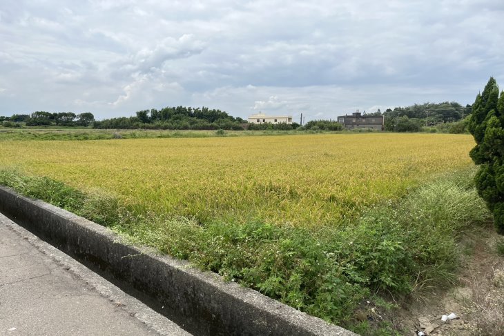 觀音正台15線大馬路農地