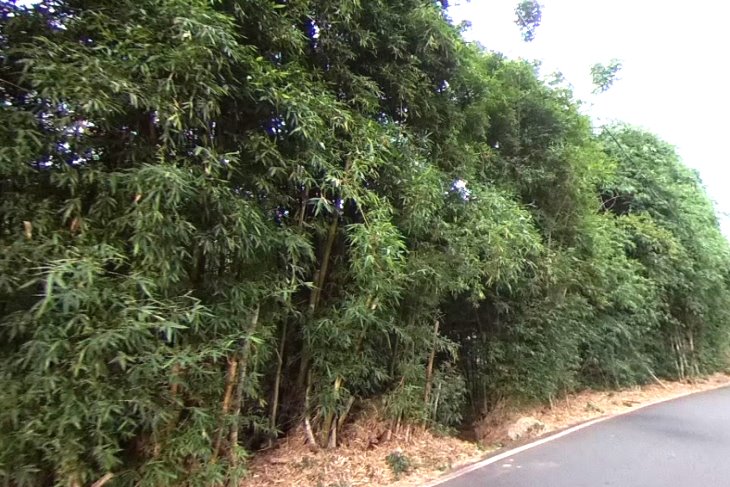 龜山區大面寬乙工