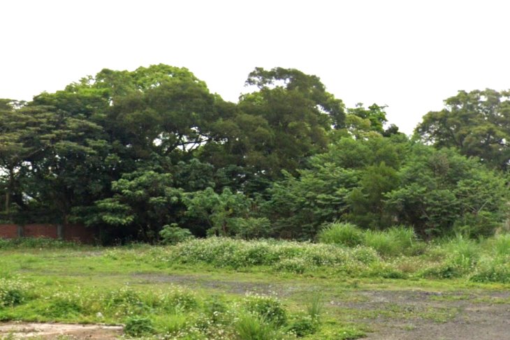 平鎮方正工業地